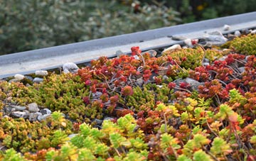 the cost of Stowe Green green roof installation