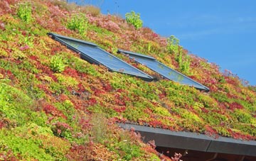 Stowe Green living roof systems